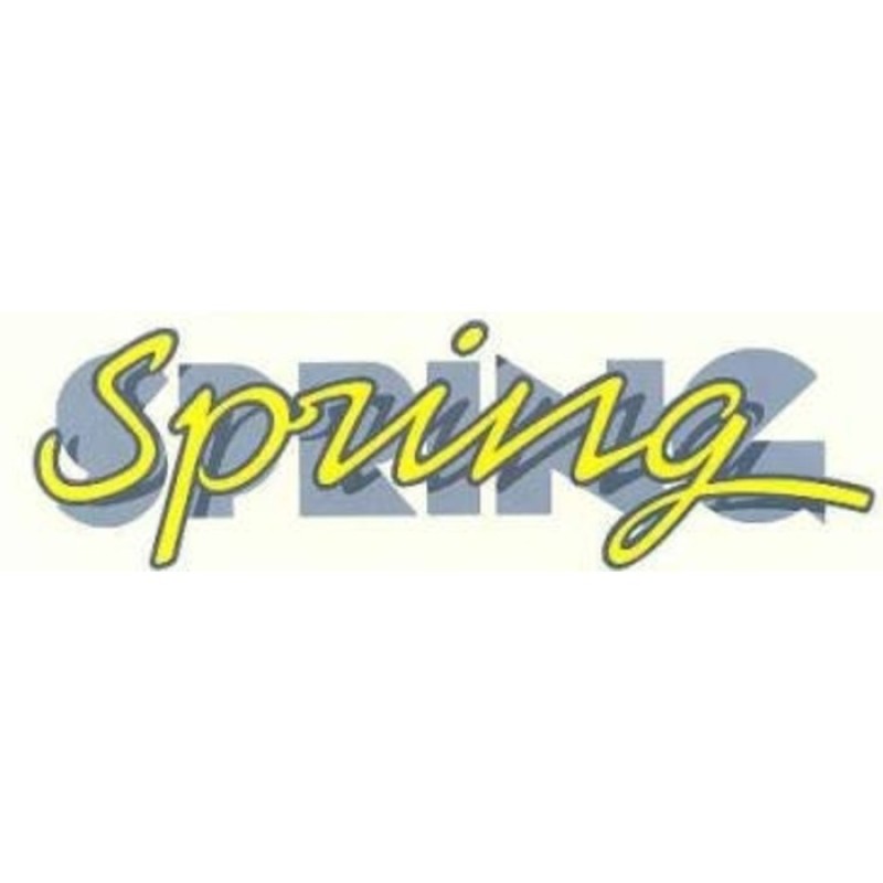 R9 Spring Yazısı- MAİS